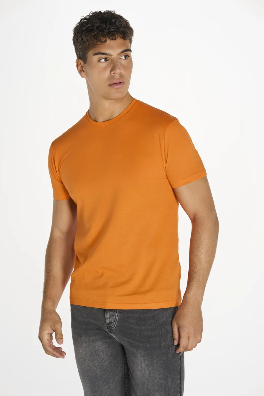 Regular Combed T-Shirt (TSR160COMB)