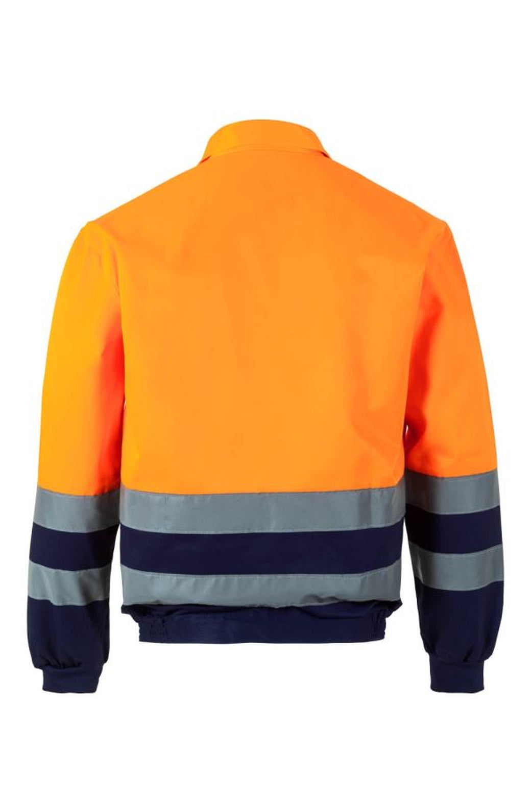 Color: 01/19 | zona: trasera