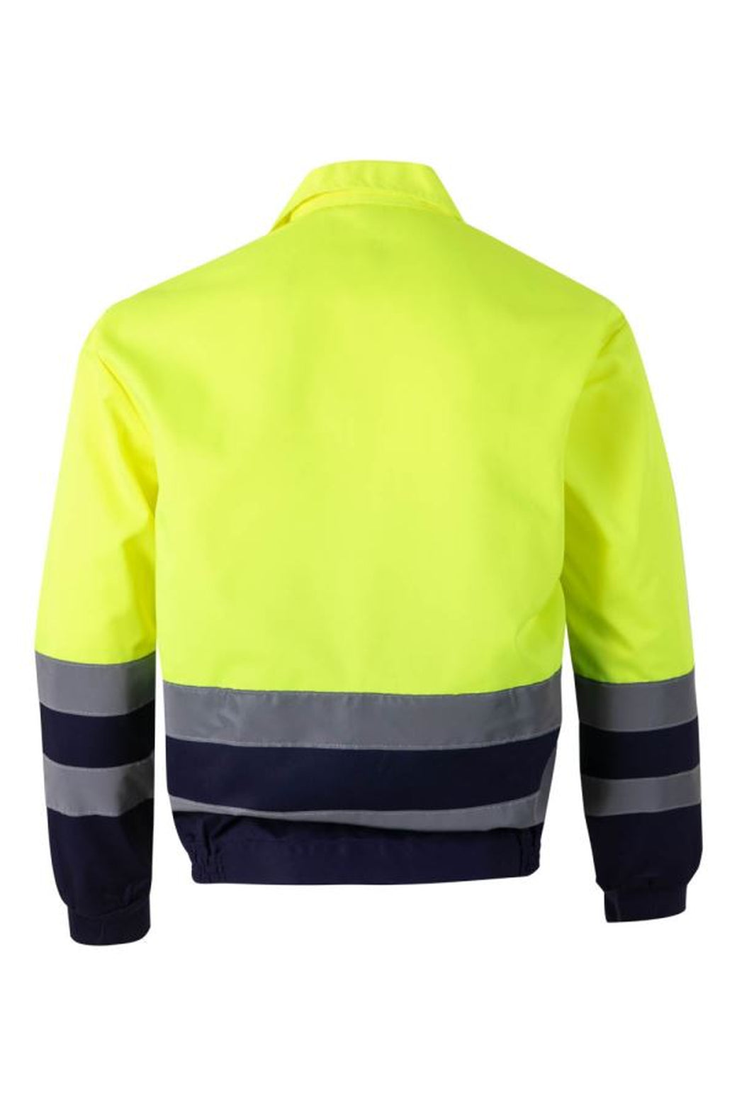 Color: 01/20 | zona: trasera