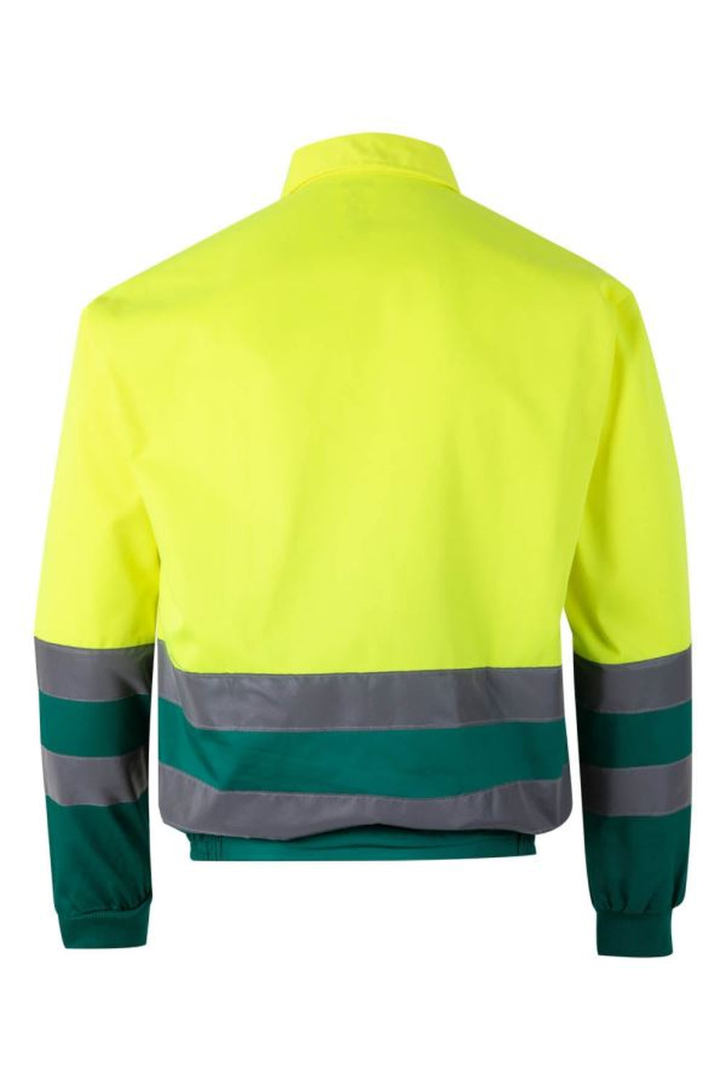 Color: 02/20 | zona: trasera