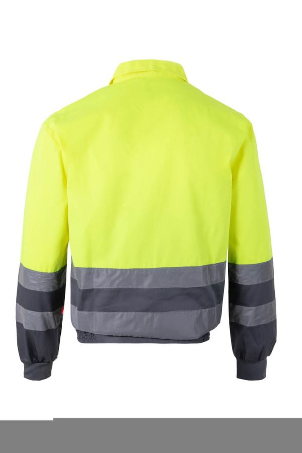 Color: 08/20 | zona: trasera