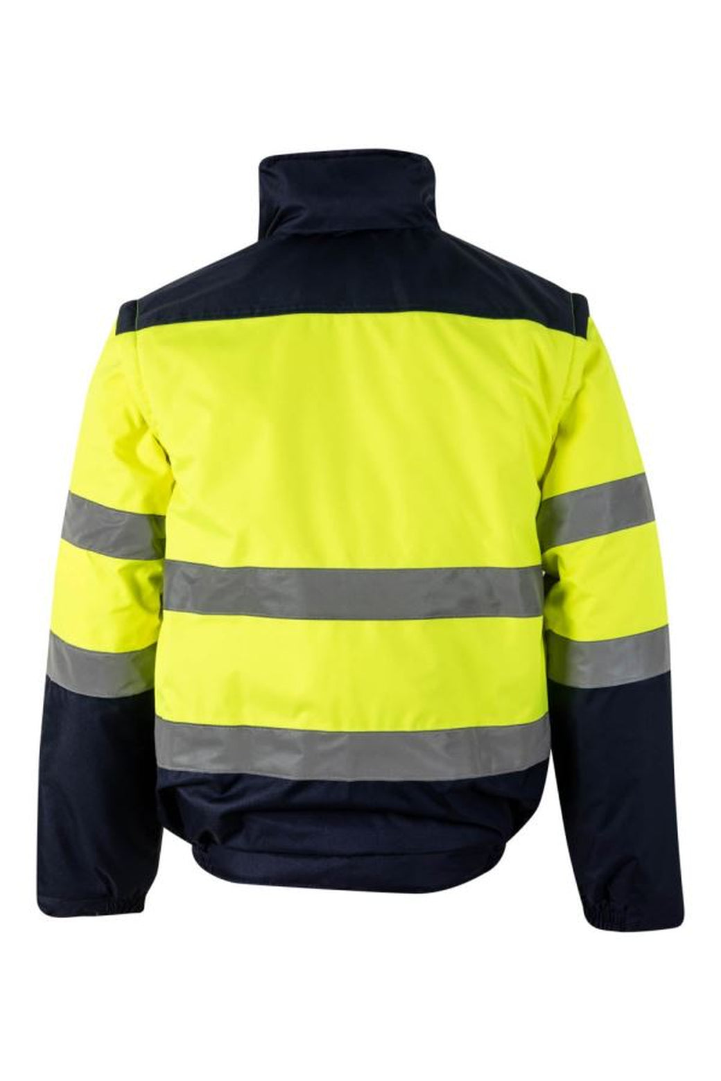Color: 01/20 | zona: trasera