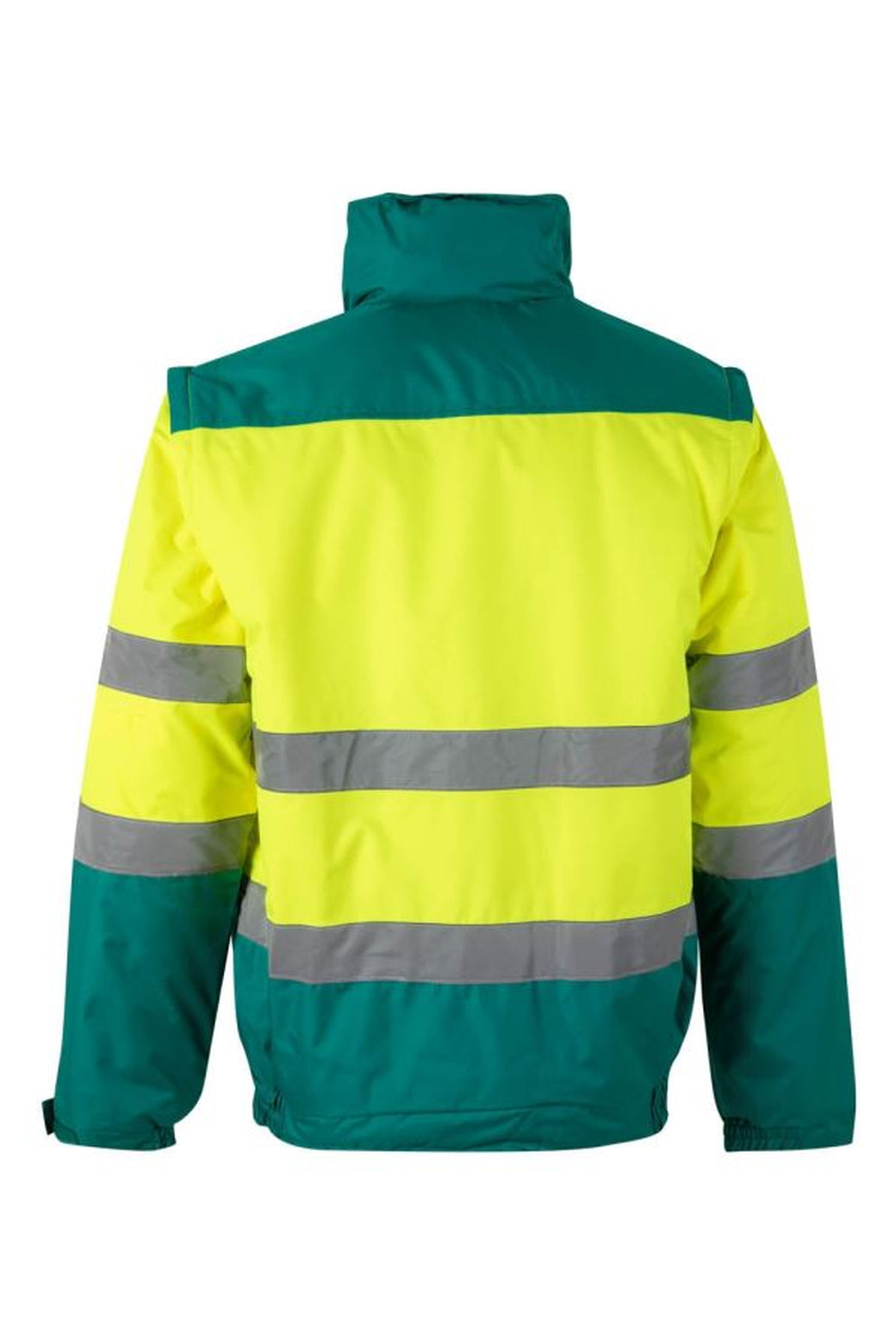 Color: 02/20 | zona: trasera