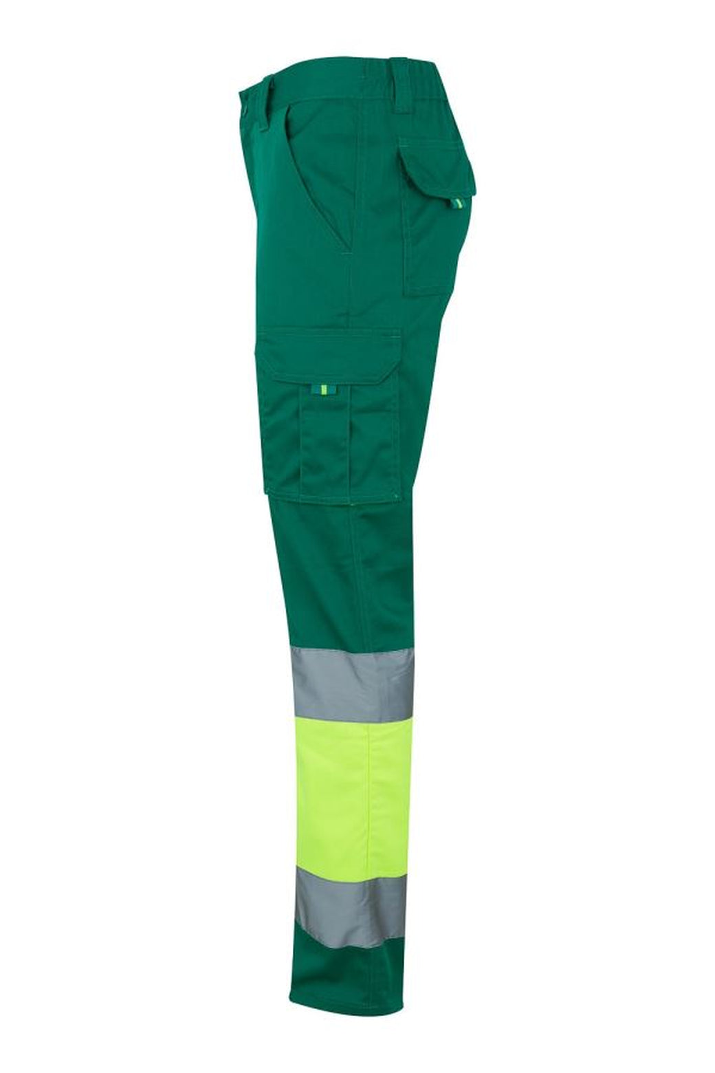 Color: 02/20 | zona: lateral