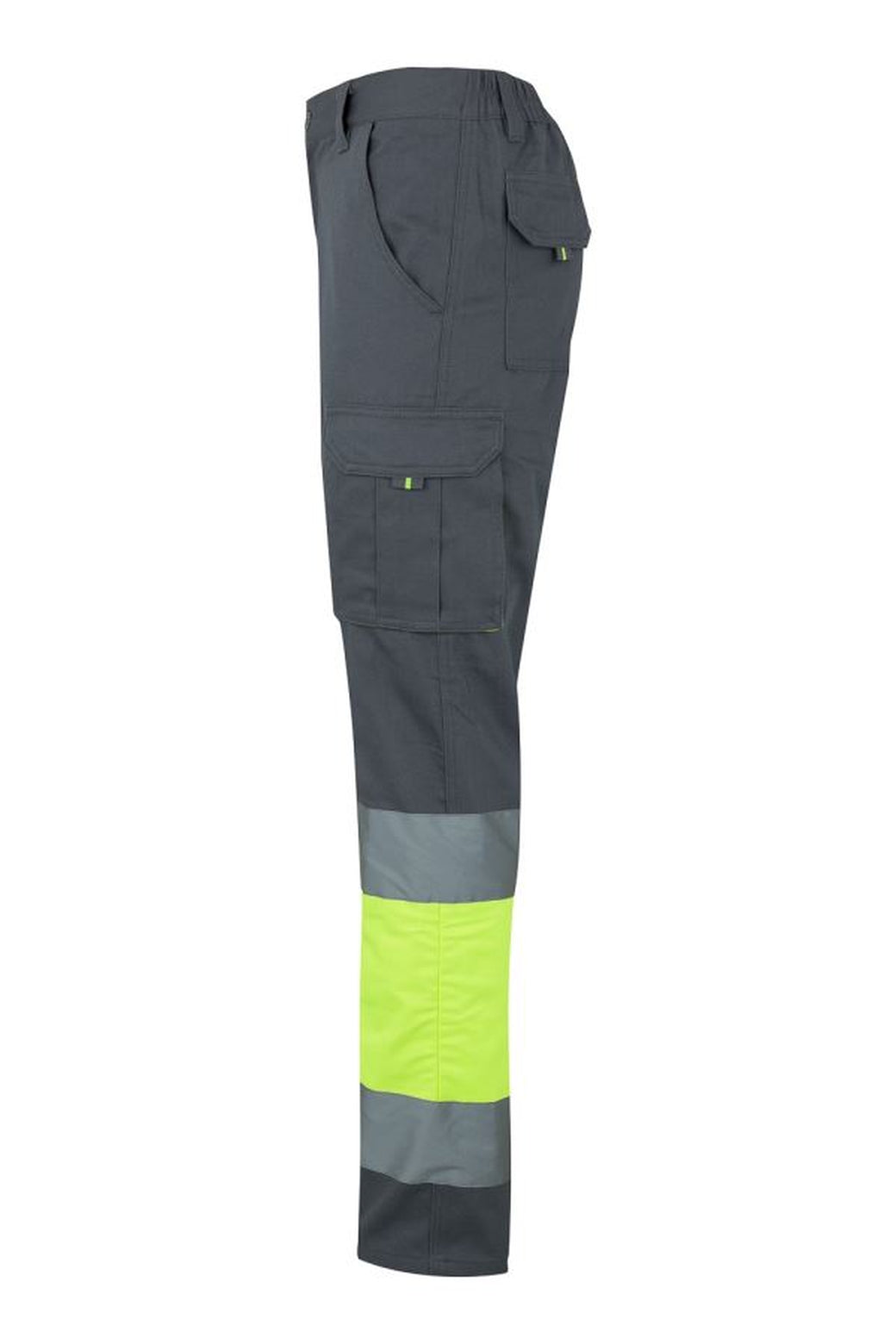 Color: 08/20 | zona: lateral