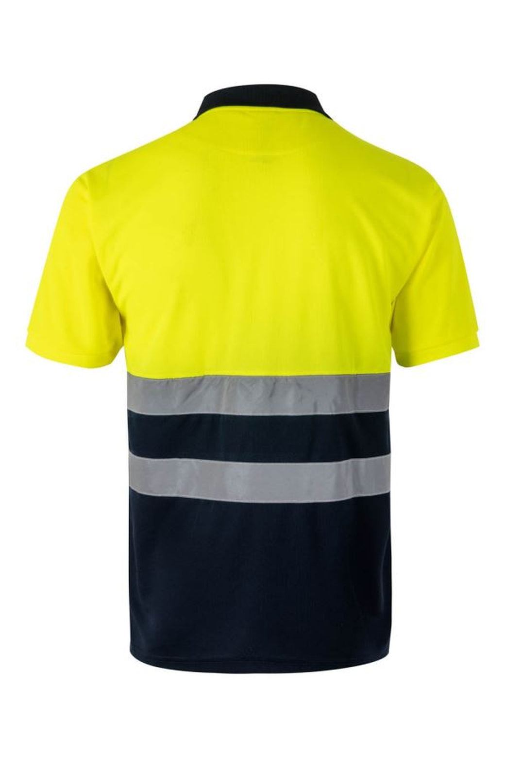 Color: 01/20 | zona: trasera