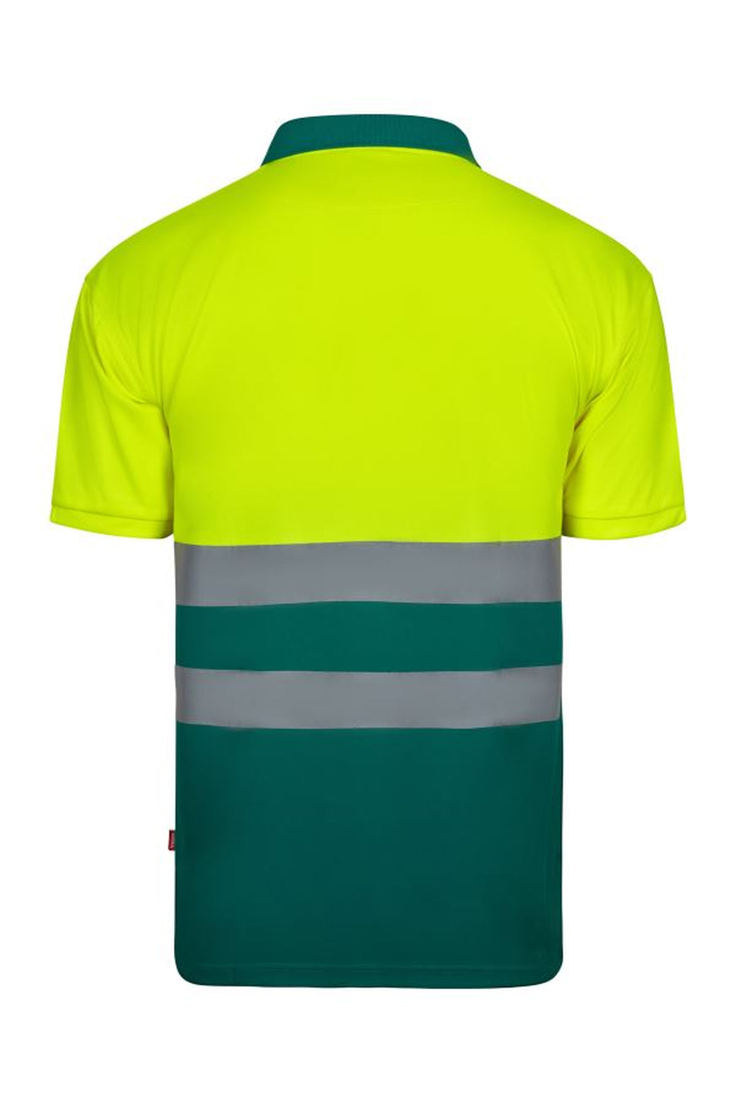 Color: 02/20 | zona: trasera