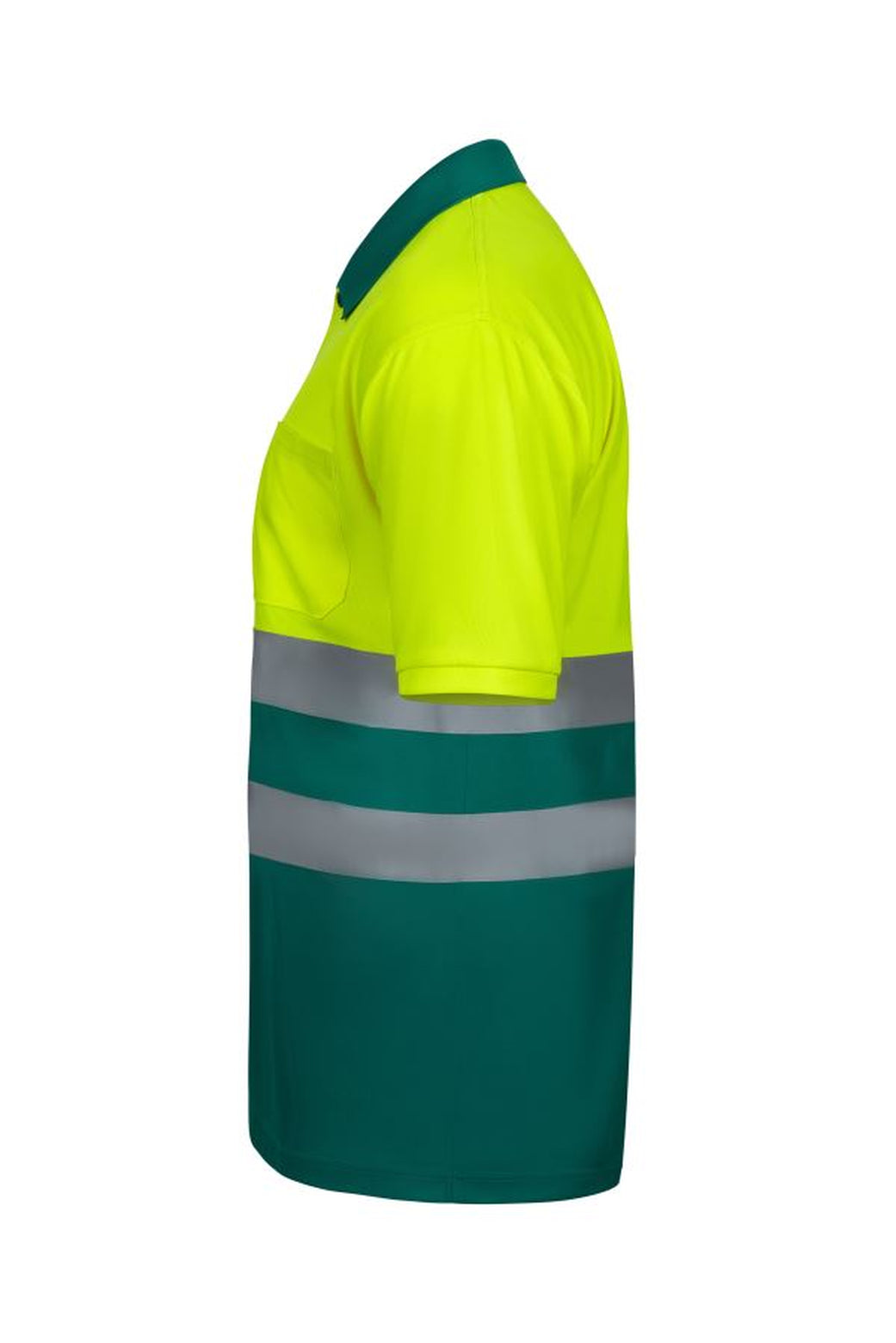 Color: 02/20 | zona: lateral