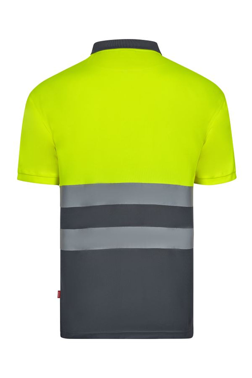 Color: 08/20 | zona: trasera
