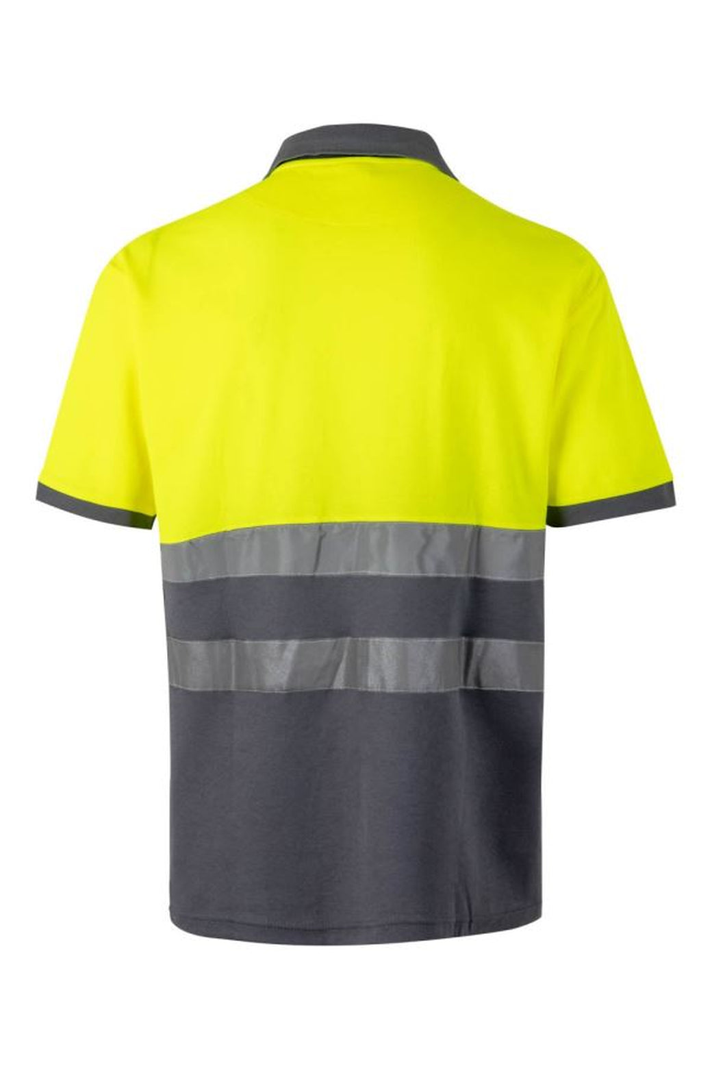 Color: 08/20 | zona: trasera