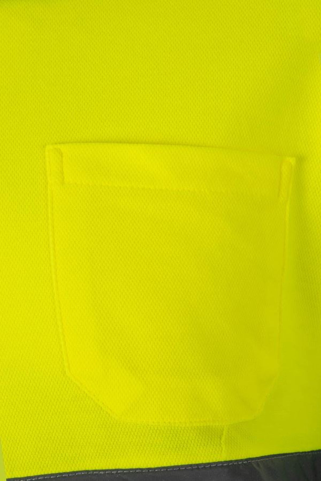 Color: 02/20