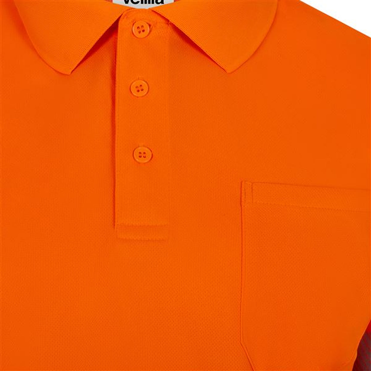 Color: 19