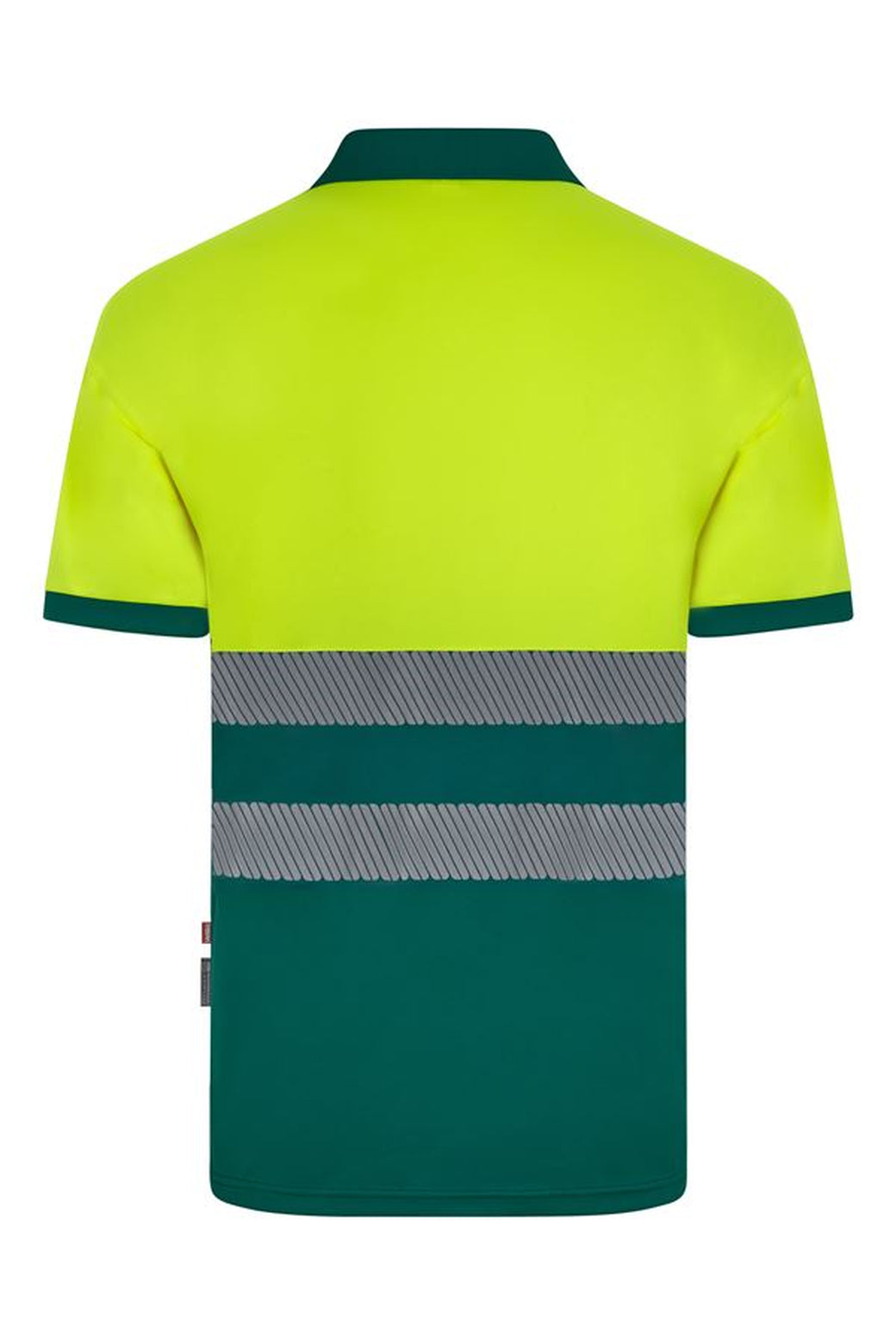 Color: 02/20 | zona: trasera