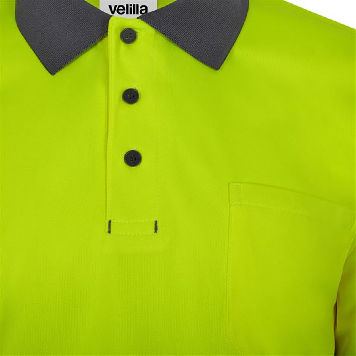 Color: 08/20