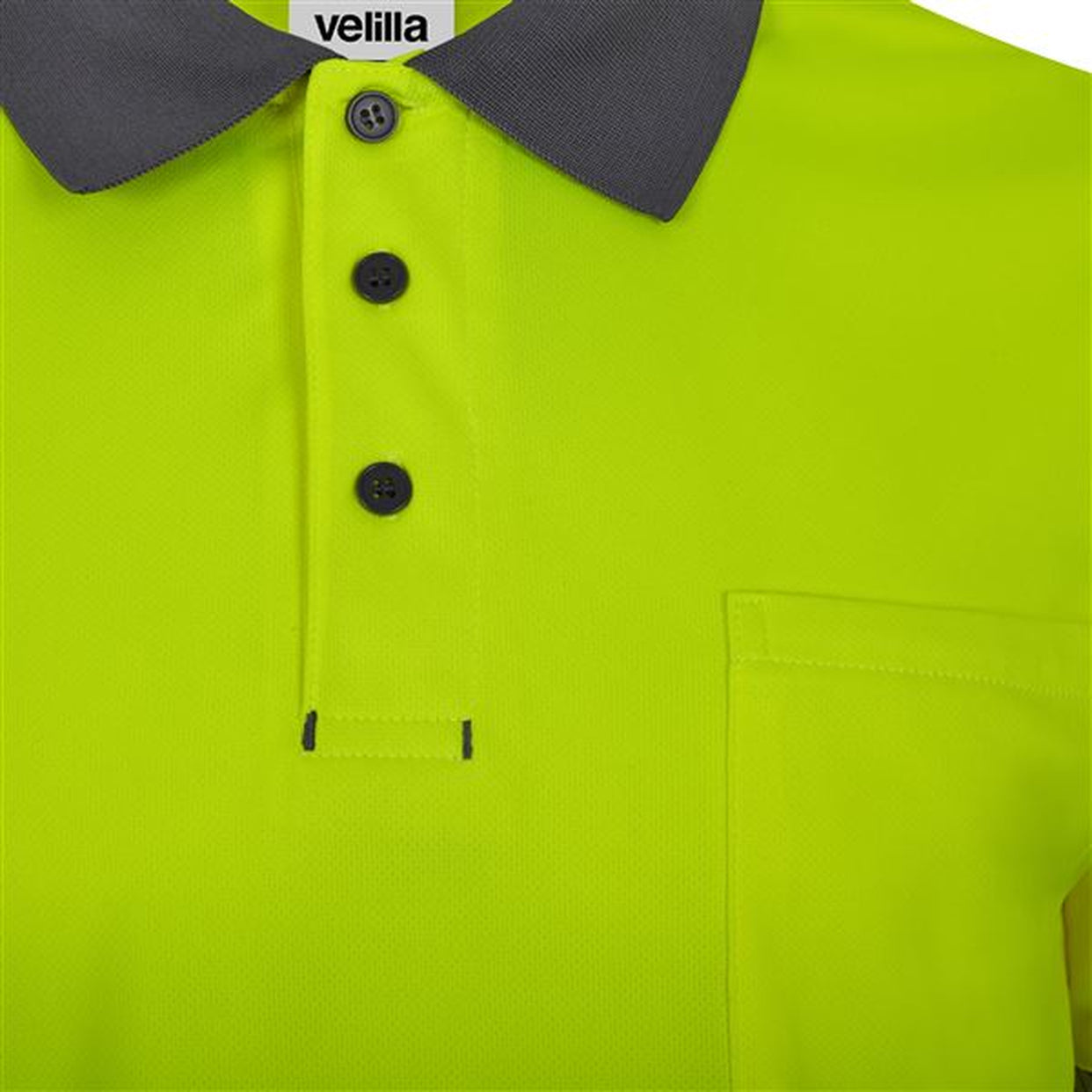 Color: 08/20