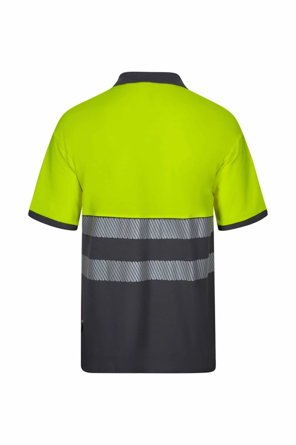 Color: 08/20 | zona: trasera