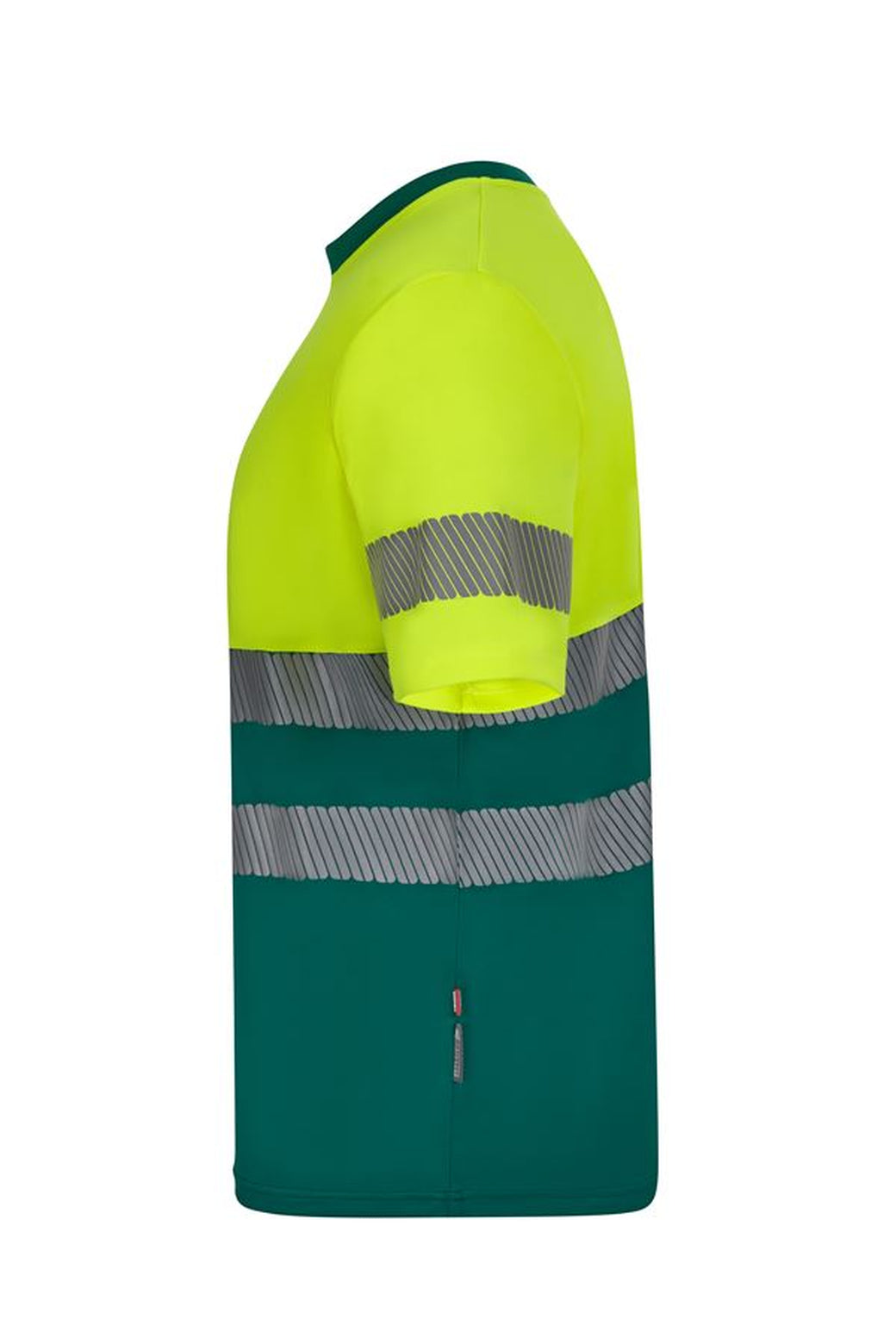 Color: 02/20 | zona: lateral