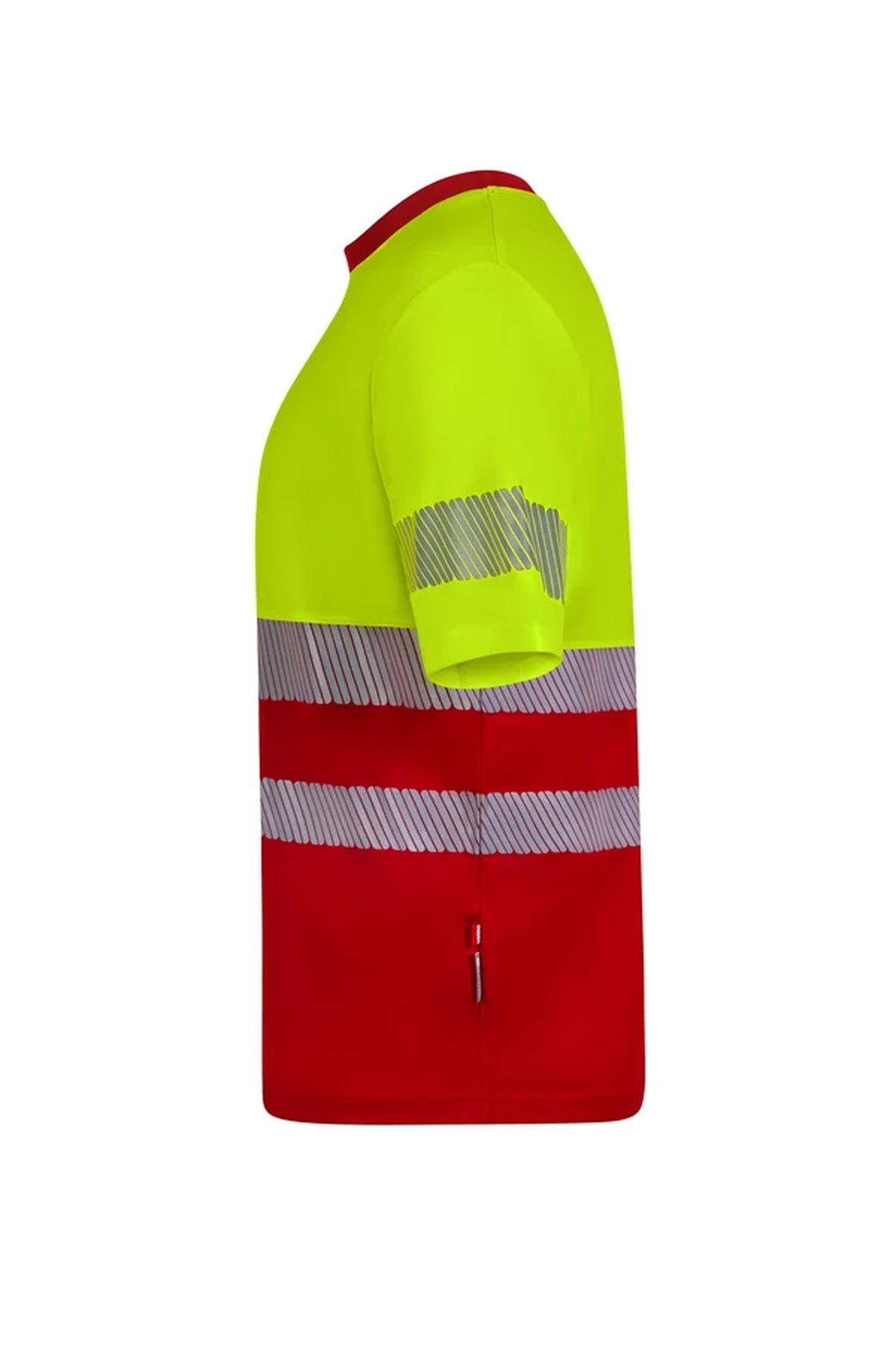 Color: 12/20 | zona: lateral