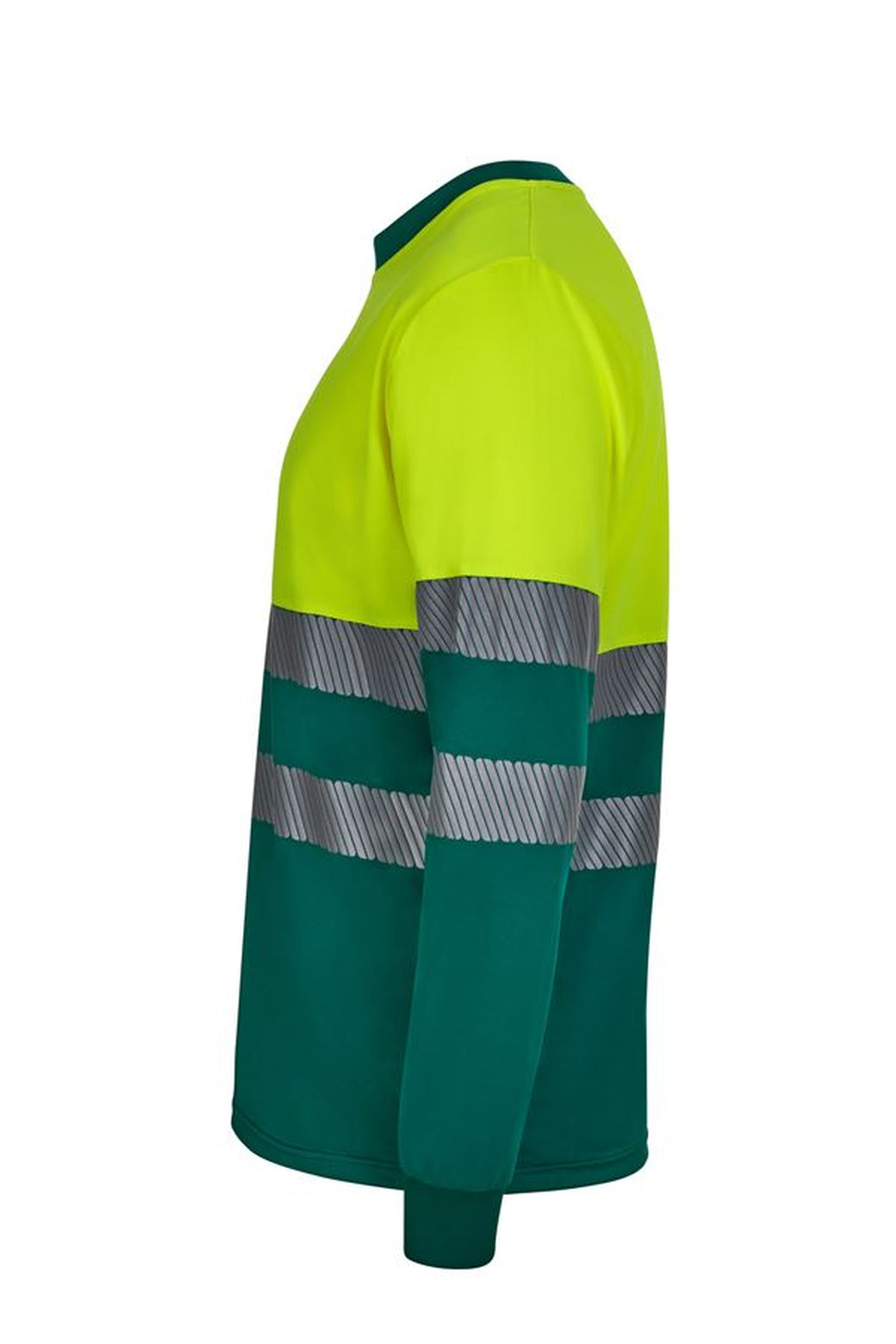Color: 02/20 | zona: lateral