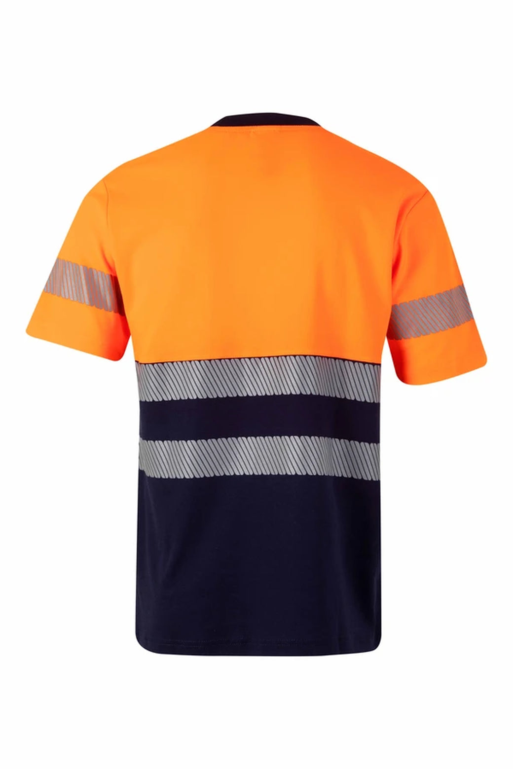 Color: 61/19 | zona: trasera