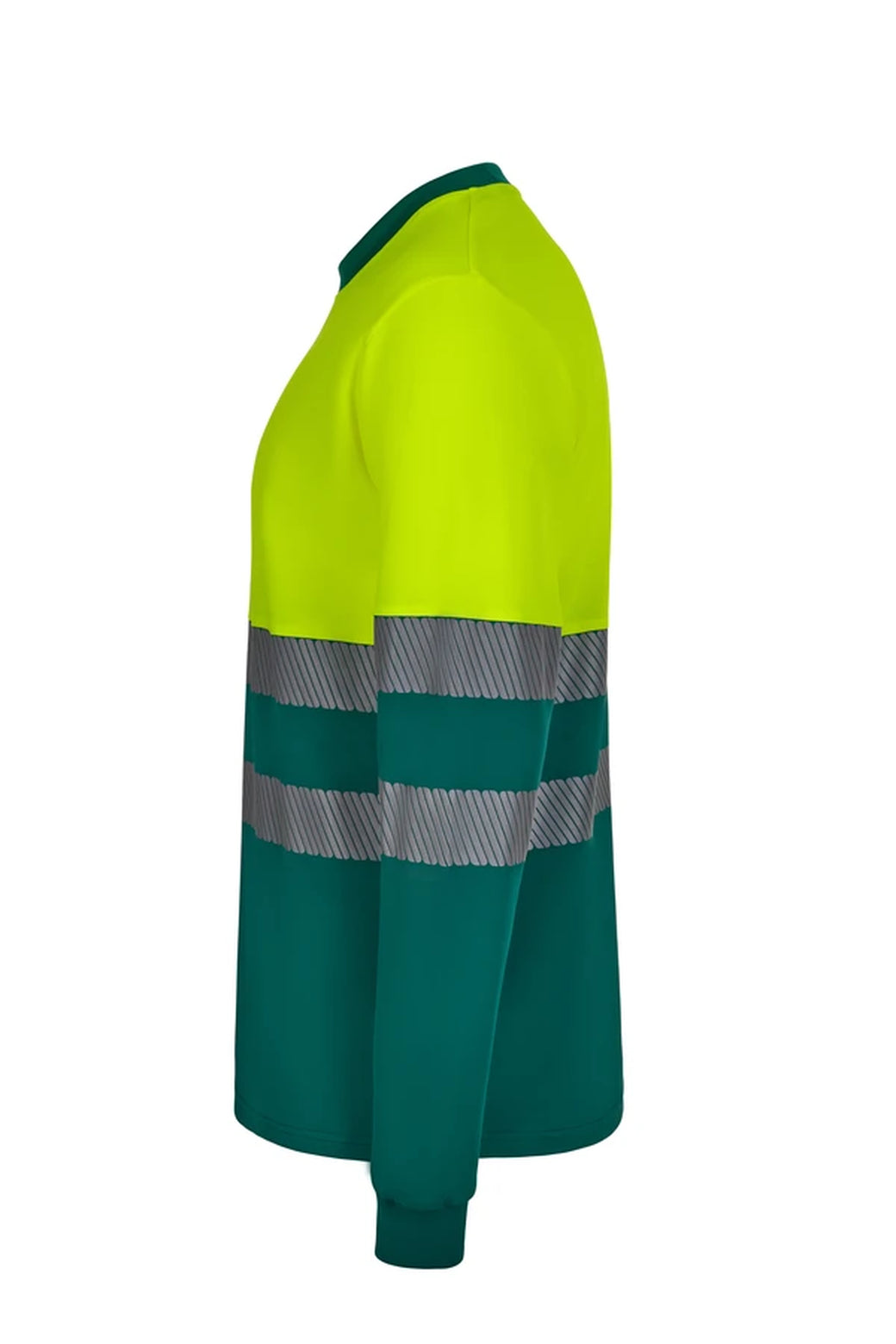 Color: 02/20 | zona: lateral