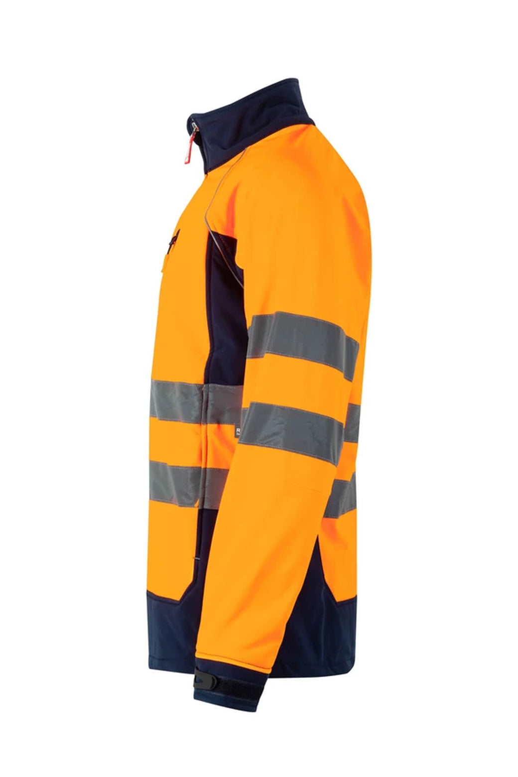 Color: 01/19 | zona: lateral