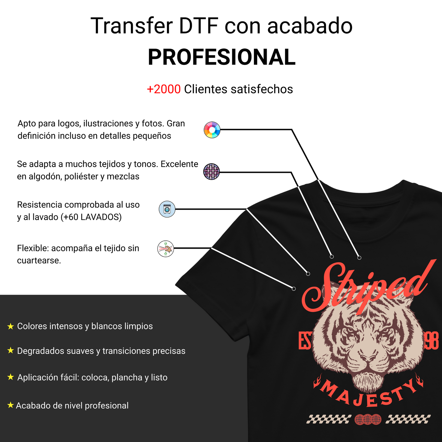 DTF Textil Por Metros - 23DTF