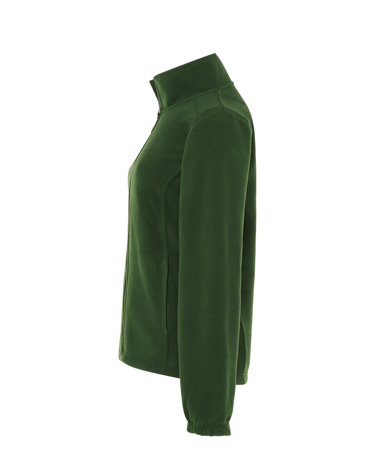 Color: BG | zona: lateral