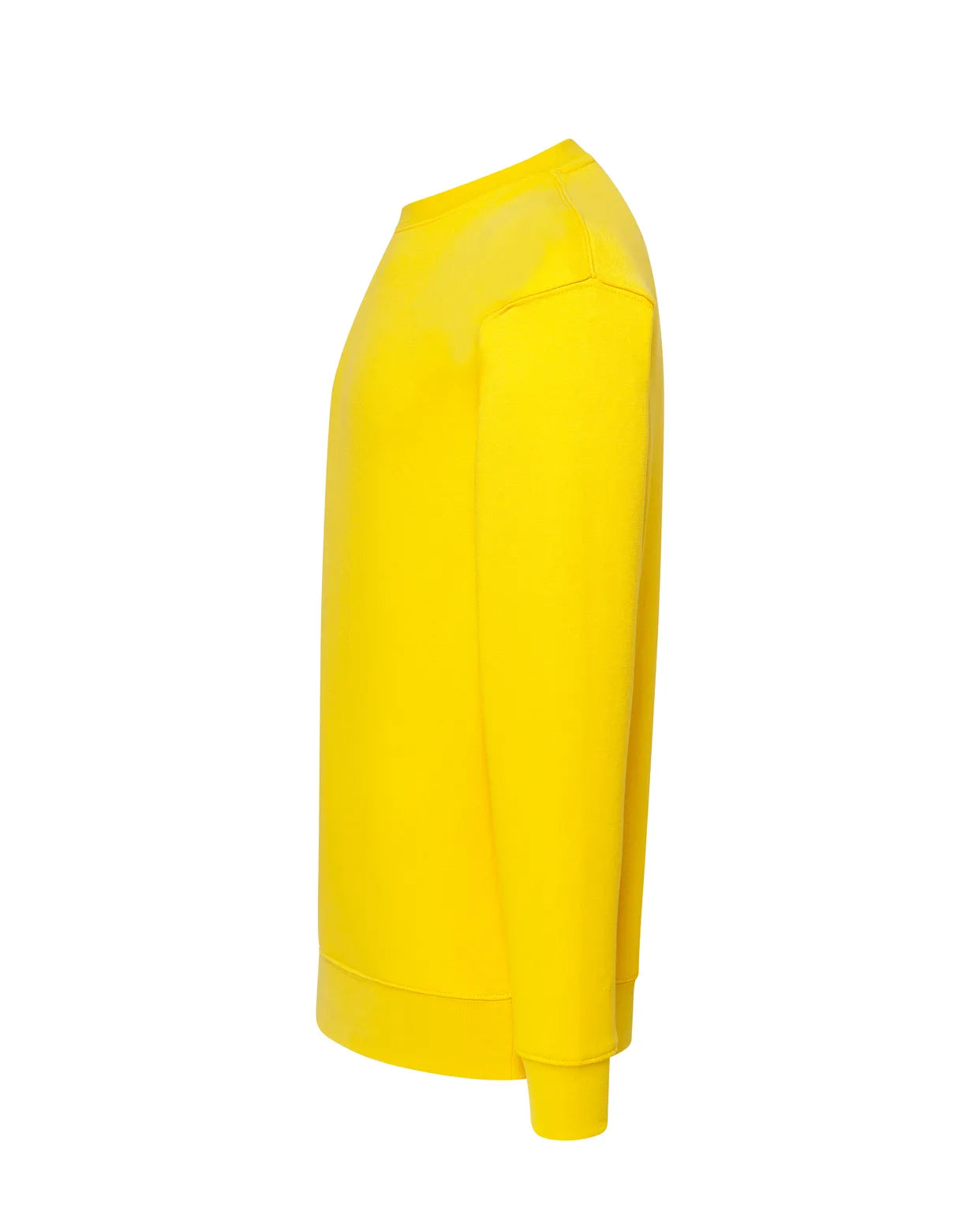 Color: SY | zona: lateral