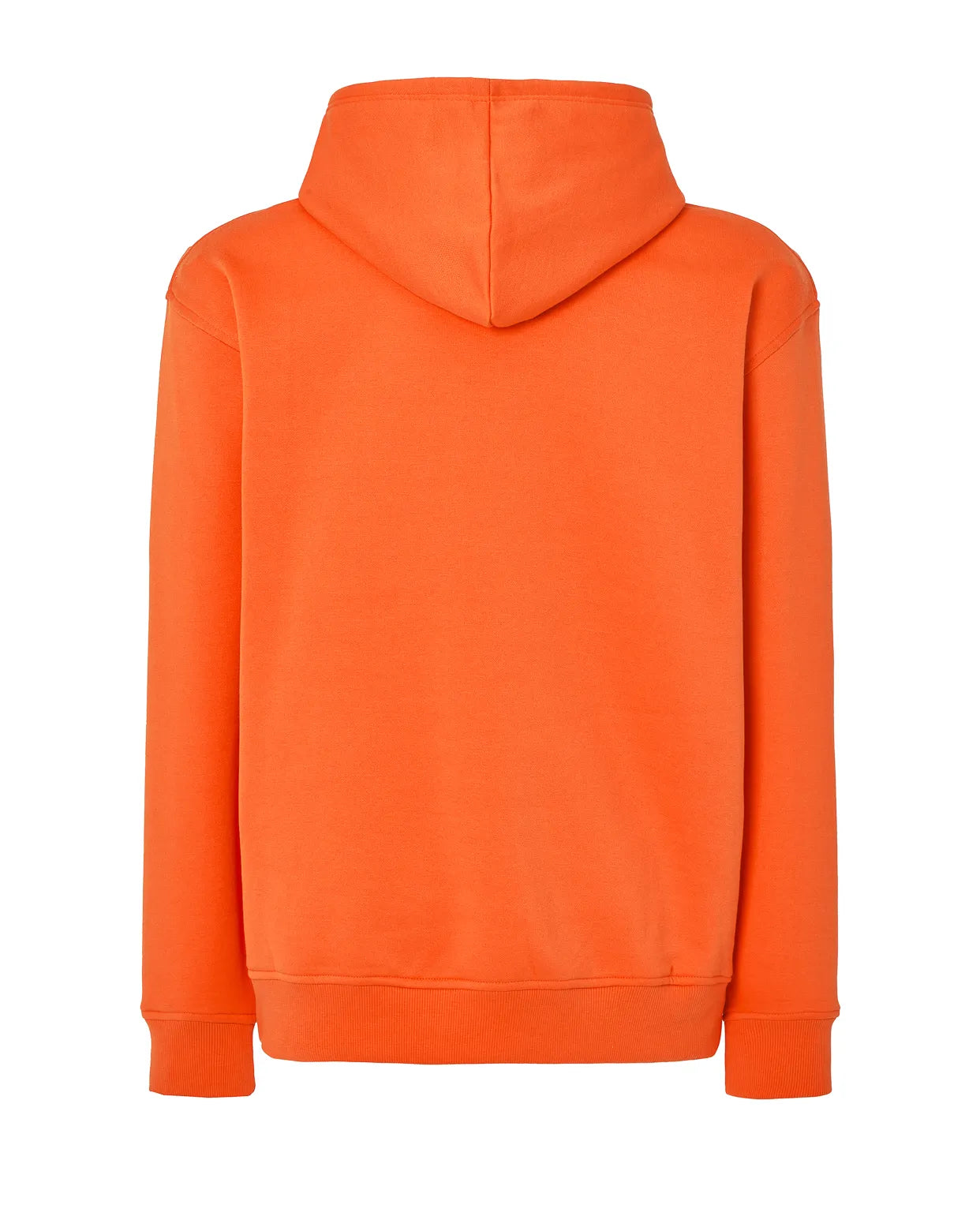 Color: OR | zona: trasera