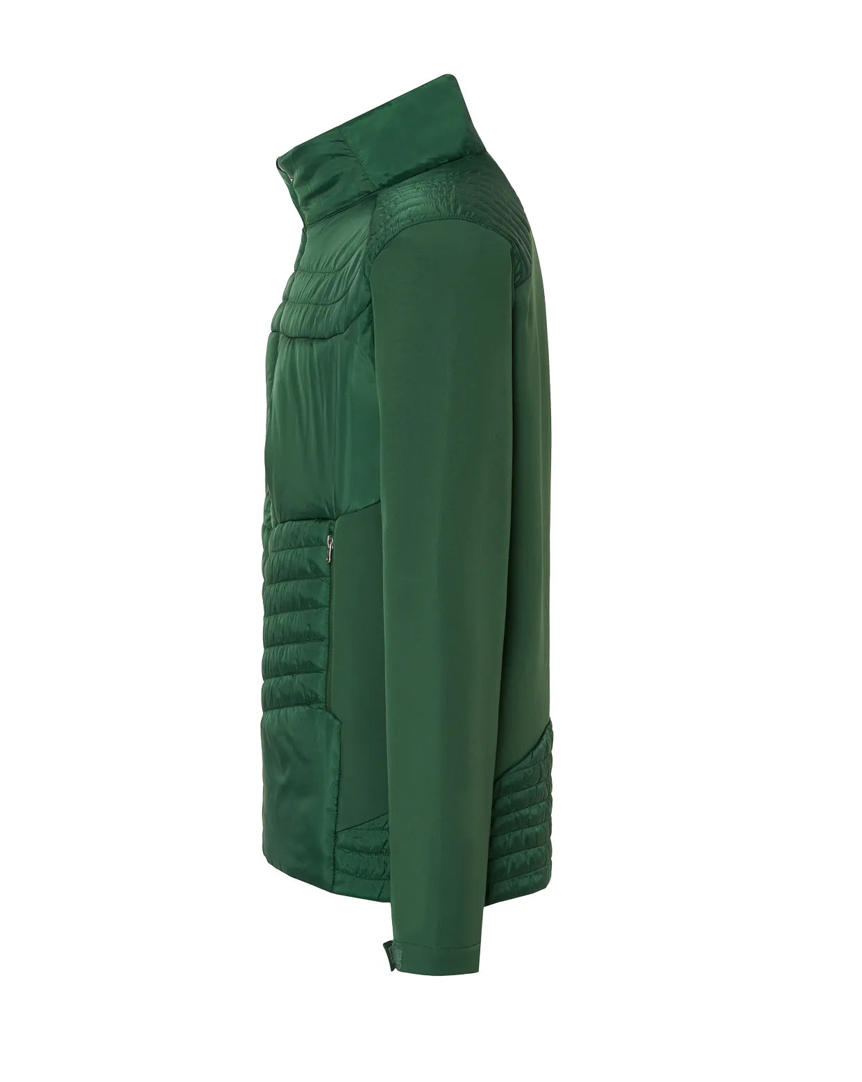 Color: BG | zona: lateral