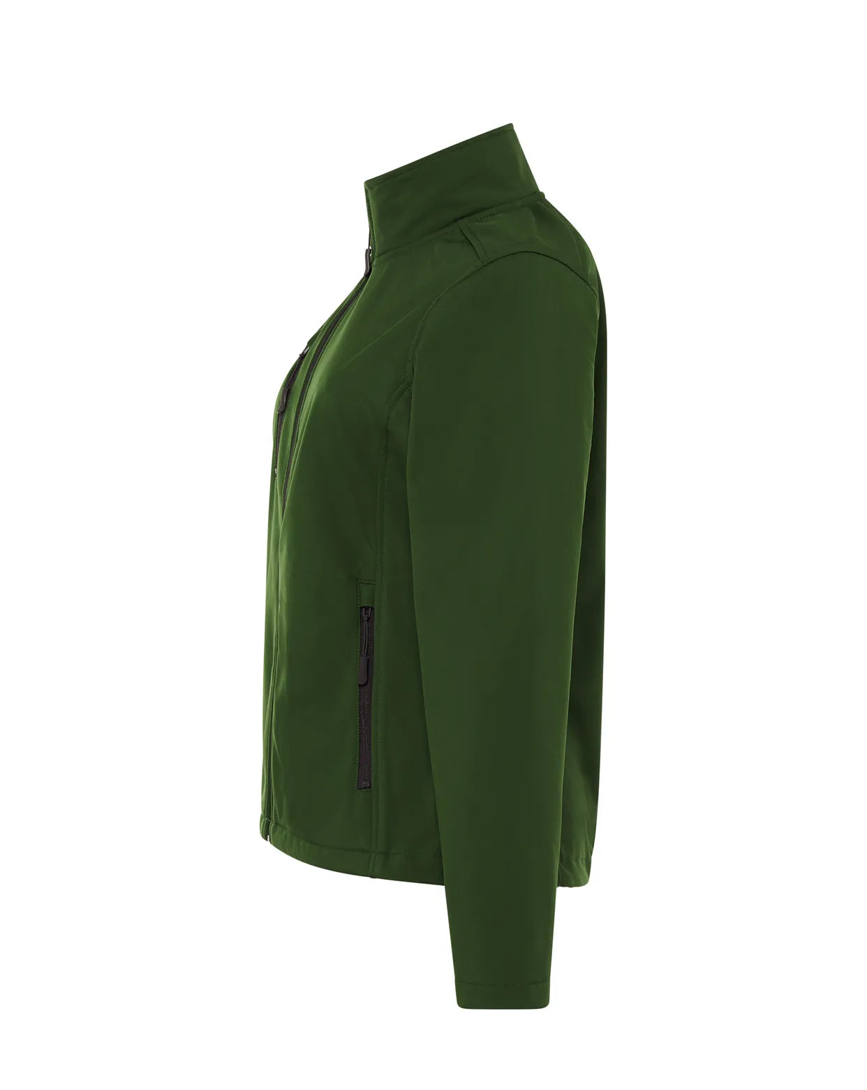 Color: BG | zona: lateral
