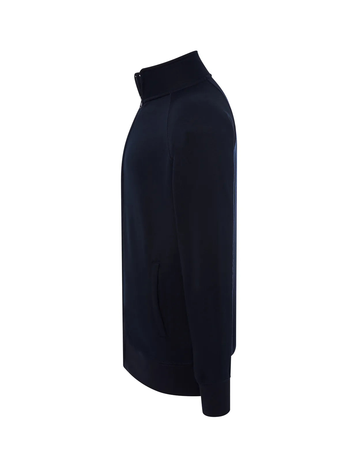 Color: NY | zona: lateral