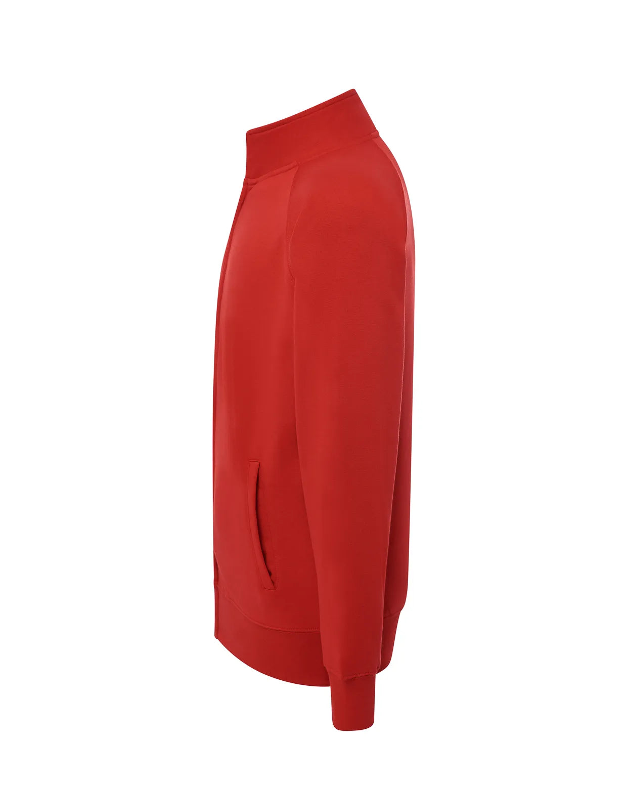 Color: RD | zona: lateral