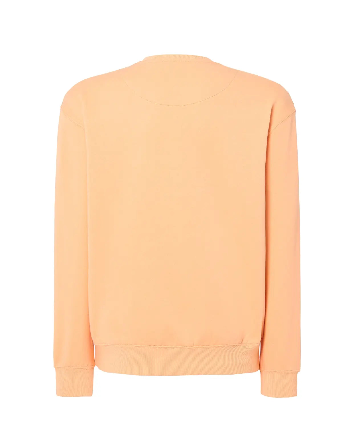 Color: APR | zona: trasera