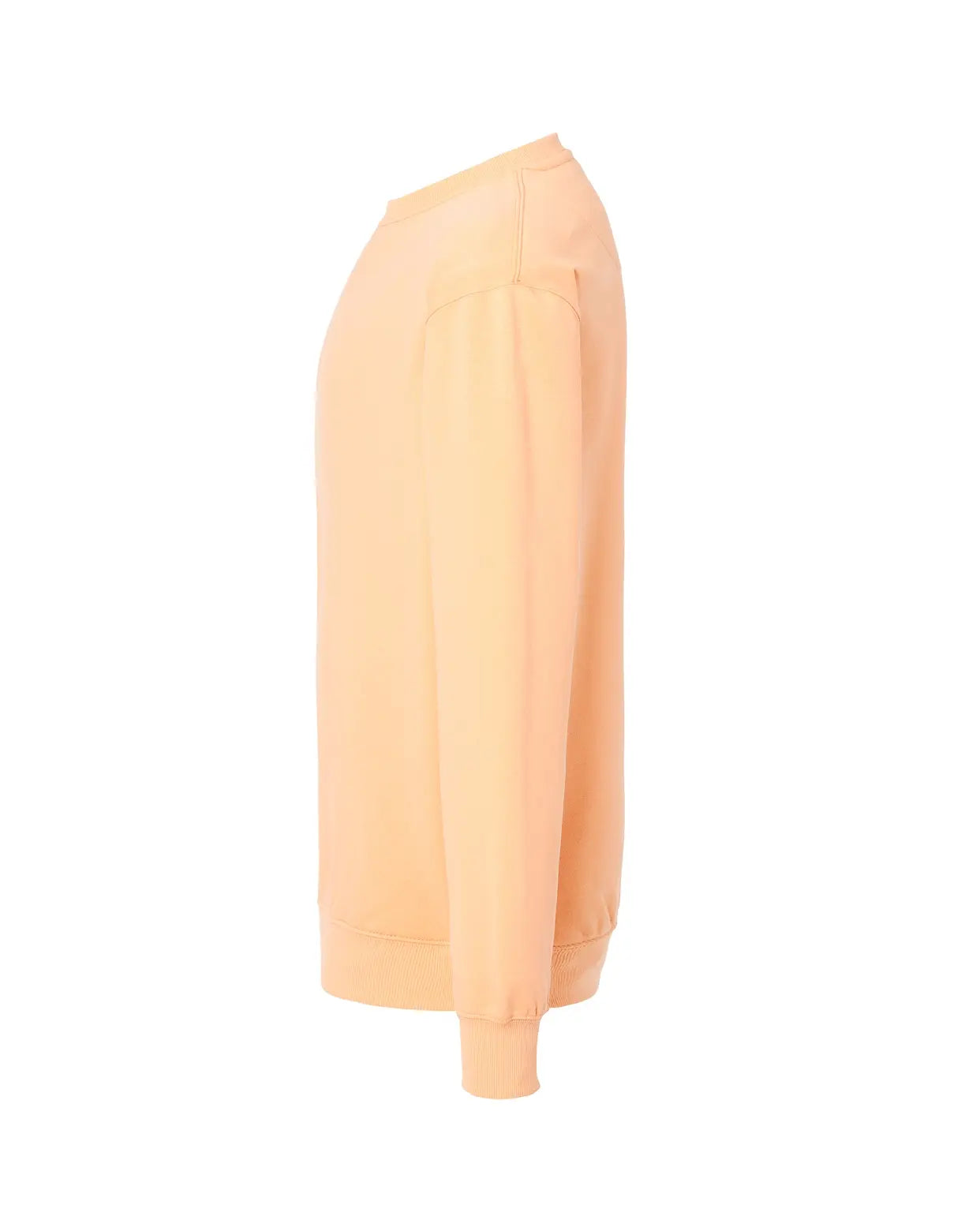 Color: APR | zona: lateral