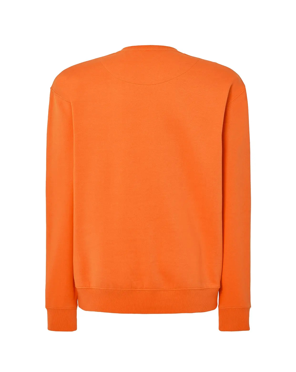 Color: OR | zona: trasera