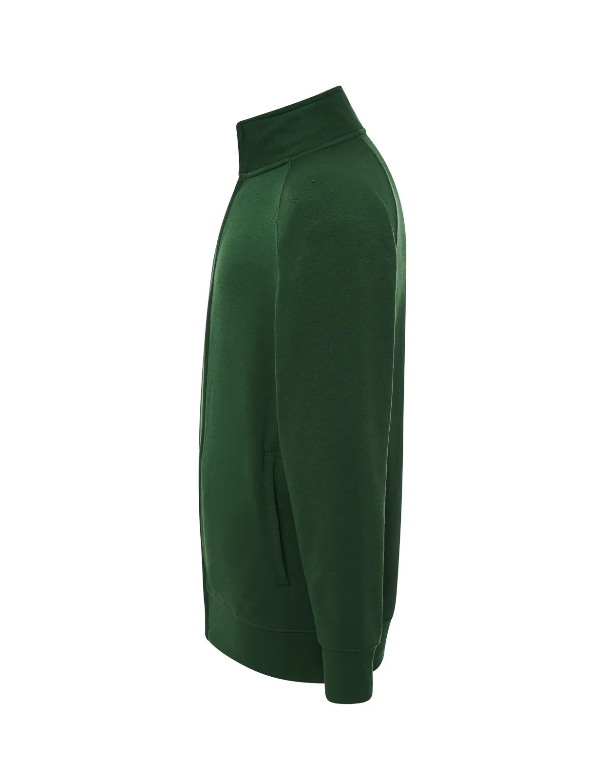 Color: BG | zona: lateral