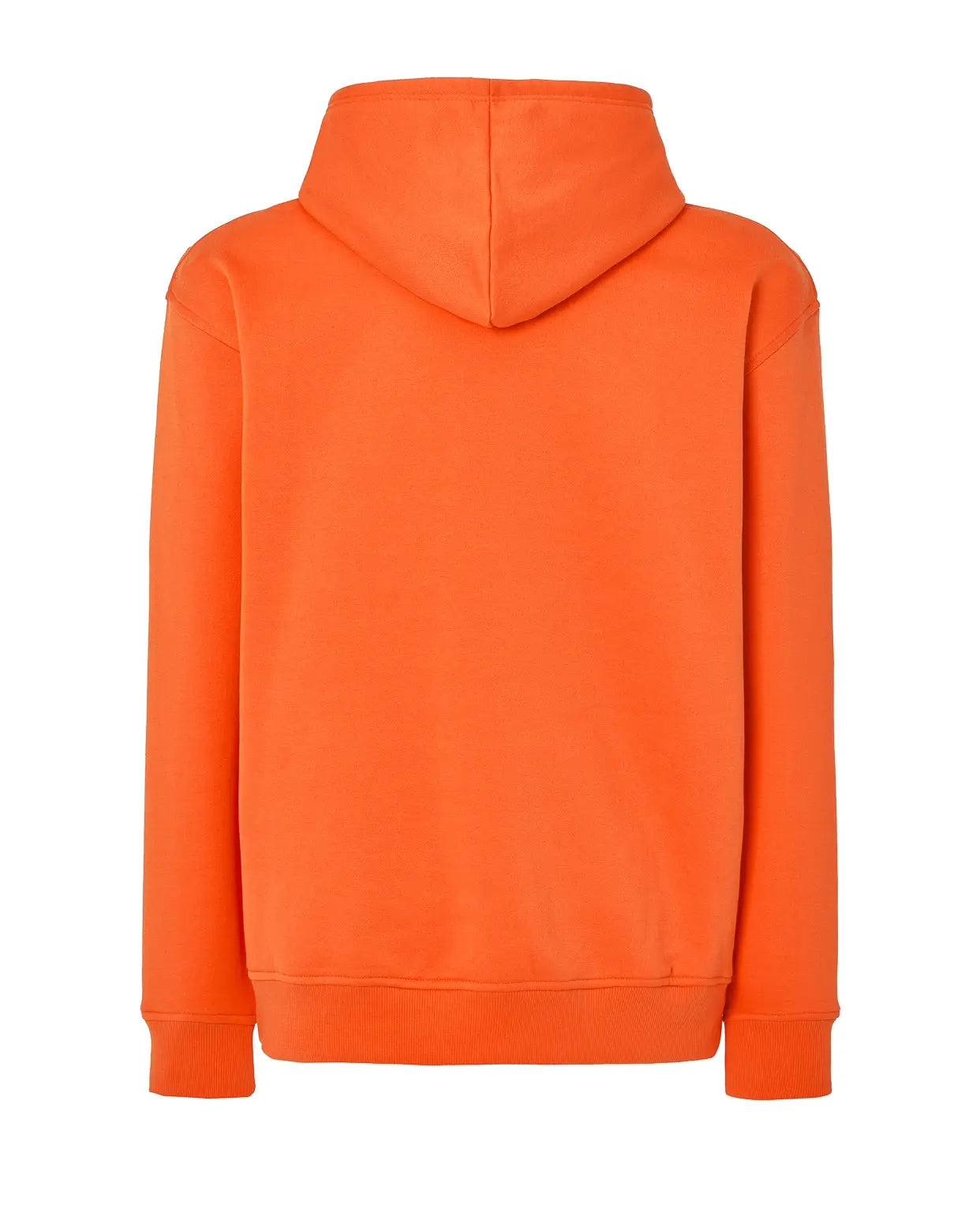 Color: OR | zona: trasera