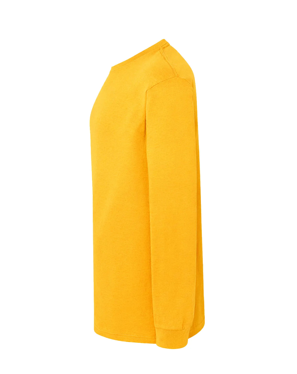 Color: SY | zona: lateral